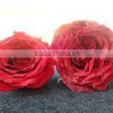 ROSE POWDER FOR AYURVEDIC REMEDY thumbnail-3