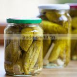 Fresh pickled cucumbers in jar & gherkins by HAGIMEX - Best price!