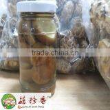 Glass Bottle Brined Shiitake Mushroom With Good Quality