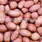 China Good Quality Oil Extractor Peanuts thumbnail-1