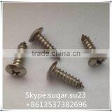 China Fasteners Stainless Steel Screw Wire thumbnail-1