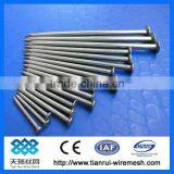 Spply Polish Common Nails/common Wire Nail With Good Quality thumbnail-1