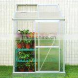 Low Cost Halls Popular Lean-to Plastic Cover Mini Indoor Greenhouse for Tomato Flower for Sale HX64312 thumbnail-3