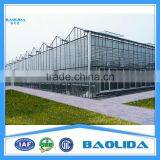 Commercial Glass Greenhouse thumbnail-3