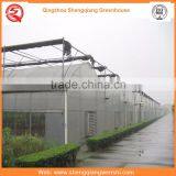 Agriculture Equipment Multi-span 7.2m PE Film Agriculture Greenhouse for Sale thumbnail-2