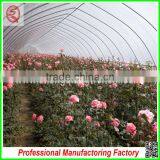 Hot Sale Multi-span Plastic 9.6m PE Plastic Film Agriculture Greenhouse for Garden thumbnail-2