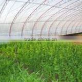recycled mulch film/recycled greenhouse film