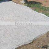 Agricultural Nonwoven Fabric for Crop Cover