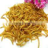 Good price of organic dried mealworms with best quality and low price