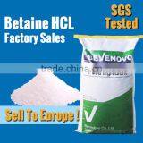 Good Betaine Hydrochlorides Price For 98%