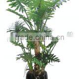 CHY030938 Hotel Decoration Everygreen Dried Plant Philodendron Plant Indoor thumbnail-3