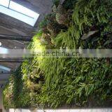 Home and Outdoor Decoration Synthetic Cheap Artificial Vertical Green Grass Wall E08 04Q66 thumbnail-6