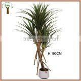 Large Artificial Pandanus Plant With Roots for Indoor Display thumbnail-1