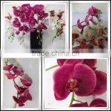 China Wholesale Factory Price Plastic Orchid Flowers for Office Decoration Artificial Orchid thumbnail-3