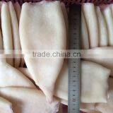 Frozen Squid Tubes With Different Size in Sale thumbnail-3