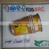 New Item of Can Flower,waterproof Paper Cup Planting,balcony Flower Pot,wholesale Flower Pots. thumbnail-1