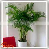 Decor Indoor Artificial Areca Tree Decoration Home Artificial Areca Tree Decor Indoor Office thumbnail-3