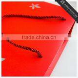 High Quality Matt Shopping Paper Bag/Fashionable Clothing Packaging Bag thumbnail-6