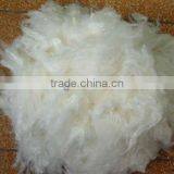 1.5D*38MMfunctional Fiber Hot Selling Soybean Fiber thumbnail-1