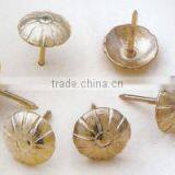 Fashionable Patterns Nail thumbnail-1