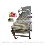 Cherry Tomato Grader Olive Grading Fruit Washing And Sorting Machine thumbnail-3