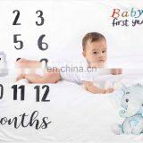 High Quality Super Plush Fleece Monthly Baby Milestone Blankets Baby Milestone Blanket Customizable thumbnail-2