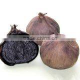Natural Black Garlic Price thumbnail-1