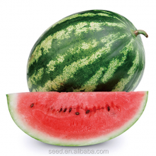 Cery Chinese Crimson Oval Watermelon Seed thumbnail-2