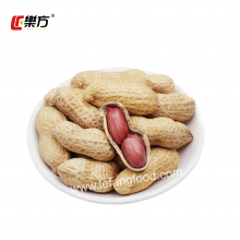 Wholesale Roasted Peanuts With Garic Flavor 280g Factory Price Nuts Snacks Brand Le Fang Traditional Process Series thumbnail-5