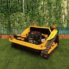 Grass Trimmer, China Robot Lawn Mower With Remote Control Price, Rechargeable Brush Cutter for Sale thumbnail-1