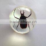 New Design Transparent Plastic Ball With Real Insects Flowers Embedded for Promotion Gifts thumbnail-5
