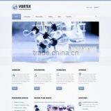 CMS Website Design Services thumbnail-4