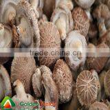 High Quality and Anti-cancer Wholesale Dried Shiitake Mushroom thumbnail-5