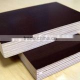12-18mmconcrete form plywood Construction Plywood supplier