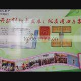 Fuzhou Bailey Furniture Co., Ltd. company overview - view 1 thumbnail