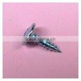 Truss Head Tapping Screw thumbnail-1