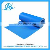 Customized Blue PU Conveyor Belt for Food Industry