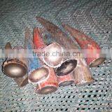 Cow/ox and Buffalo Horn Tip Manufacture India Black Brown thumbnail-3