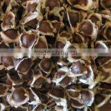 MORINGA SEED FOR AYURVEDIC REMEDY thumbnail-4