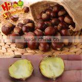 Best Chinese Chestnuts for Sale--Organic Kuancheng Chestnuts thumbnail-1