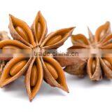 Organic Star Aniseeds for Export - Best Quality & Good Price by HAGIMEX thumbnail-1