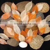 Thai Handmade Premium Pure Natural Spa Soap Leave- Healthy Effect of Exotic Herbs, Fruits, Grains, Botanical Natural Ingredients thumbnail-1