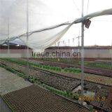 Multispan Tunnel Greenhouse Agricultural Green Houses for Strawberry Grape Raspberry thumbnail-6