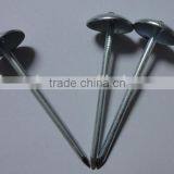 2.5 inch Umbrella Head roofing nail twisted Shank Roofing Nail factory price