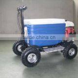 43cc EPA Approved Gasoline Refrigerator Scooter/cooler Box Scooter for Adult (TKS-S43) thumbnail-4