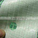 Waterproofing Greenhouse Mesh Tarpaulin, Clear Transparent Greenhouse Leno, Various Usage Greenhouse Tarpaulin thumbnail-2