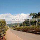 2015 New Design All in One 4m / 6m / 9m Price Solar Street Light thumbnail-3