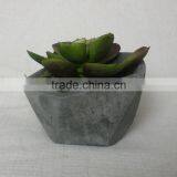 Cheap Garden Pots and Planter