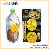 Fatal Funnel Wasp Traps thumbnail-1