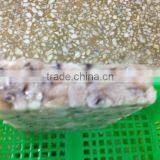 Frozen Baby Loligo Squid thumbnail-2